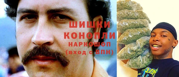 ECSTASY Белокуриха
