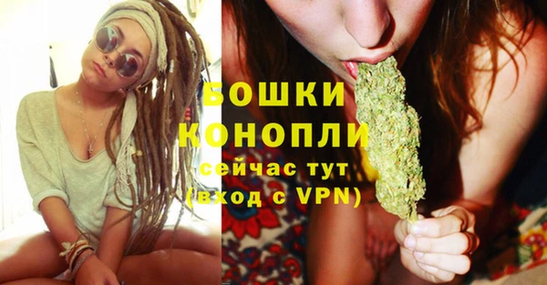 ECSTASY Белокуриха