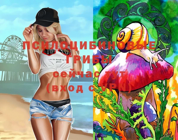 spice Беломорск