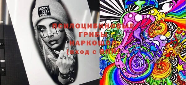 ECSTASY Белокуриха