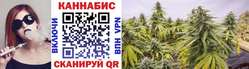 Каннабис индика  Мышкин 